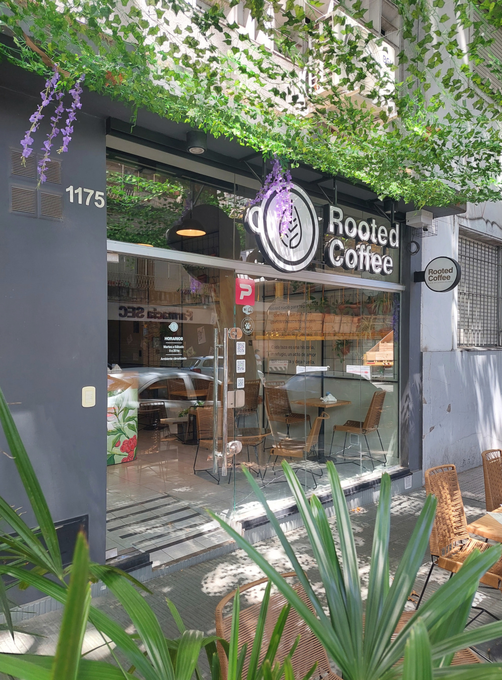 Rooted Coffee Shop